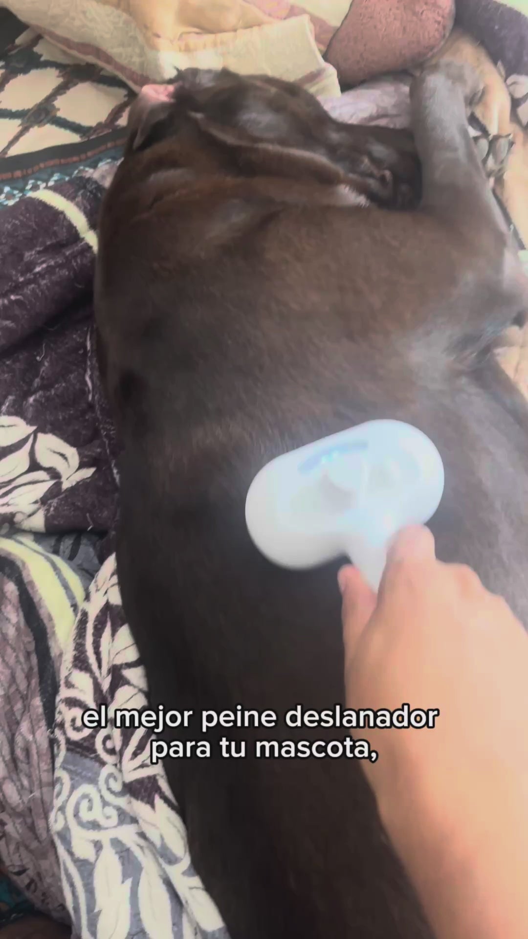 Cargar video: 